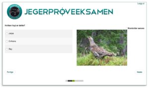 Eksempel av en oppgave i prøven